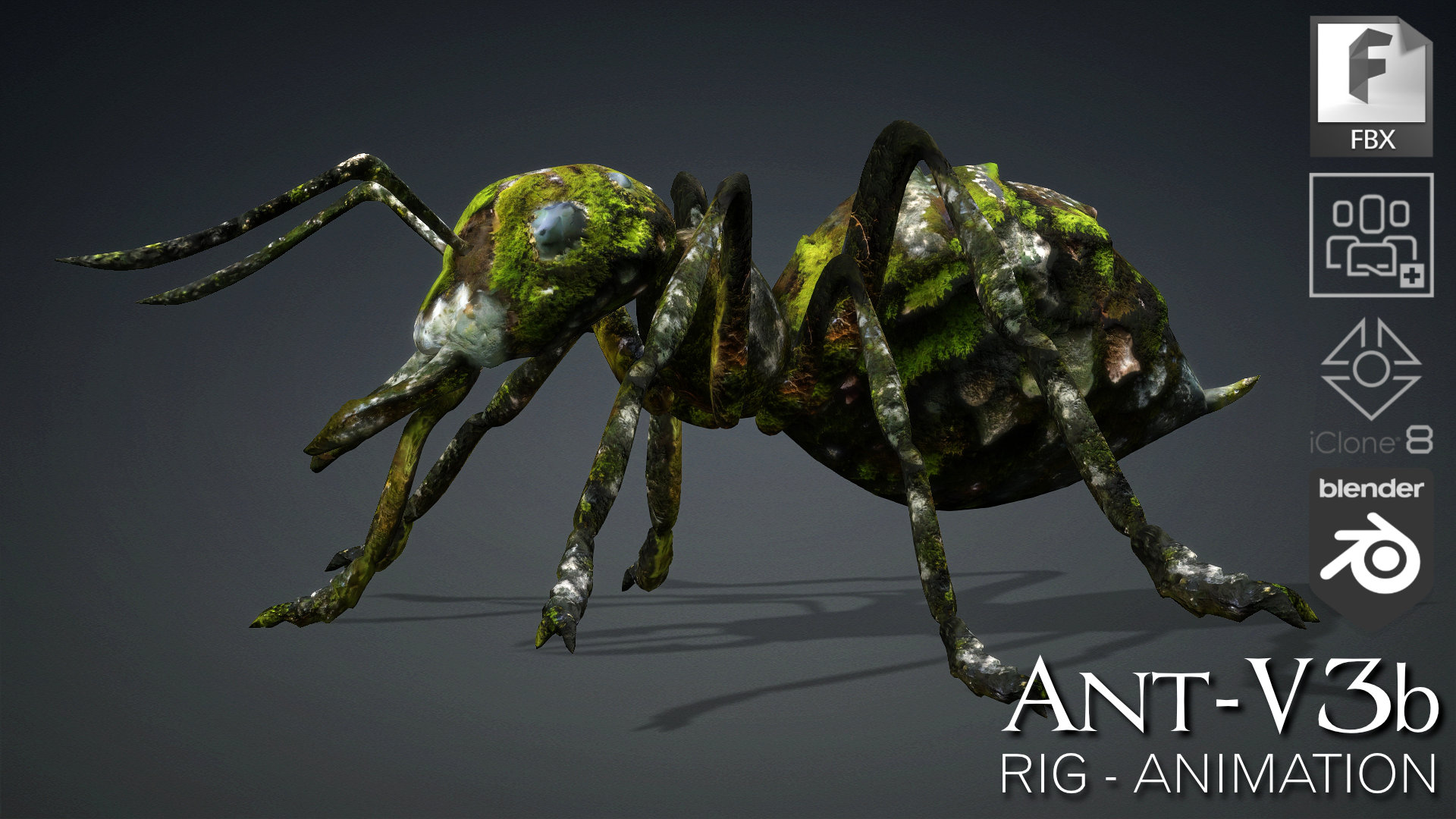 Ant_V3b | Fab