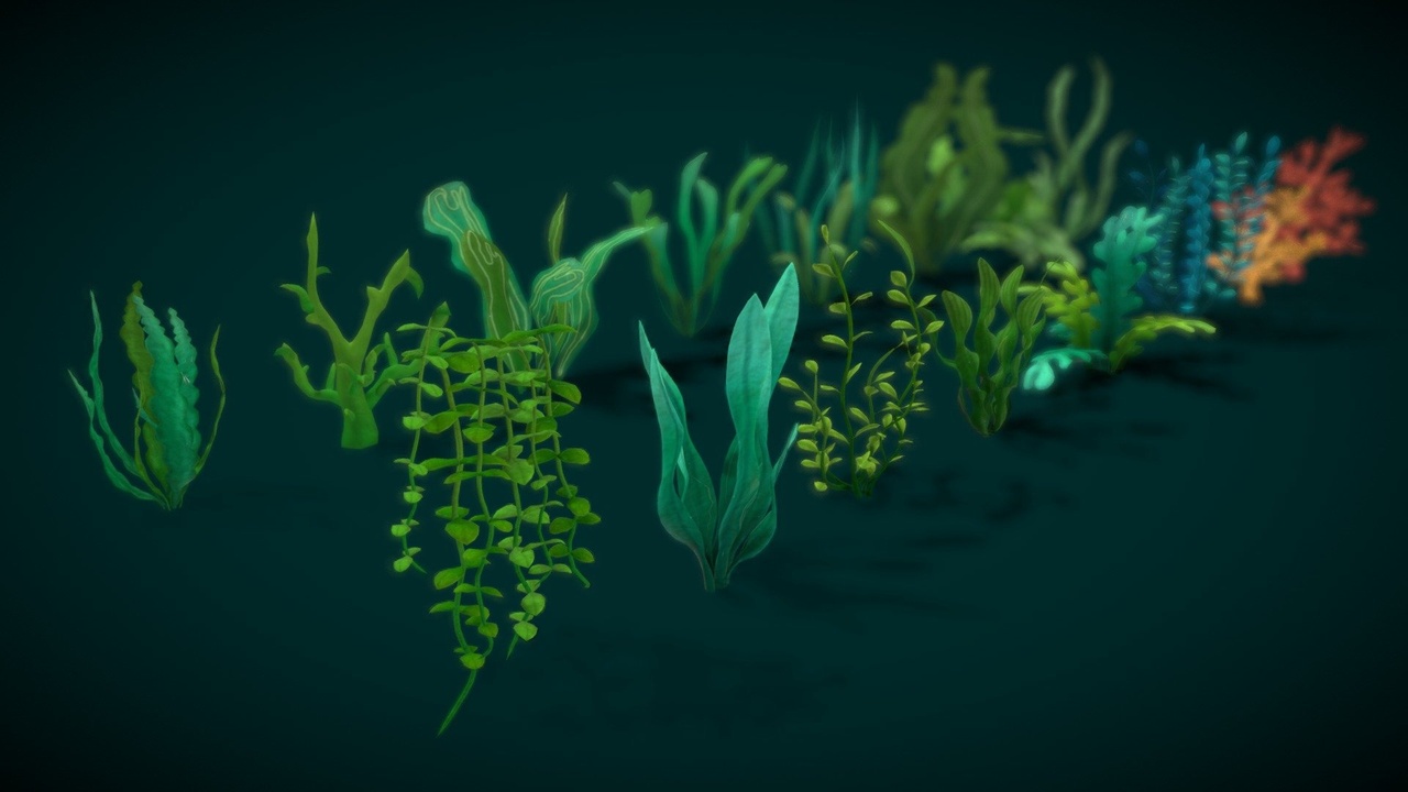 Média 1 pour l'article Cartoon Seaweed 10