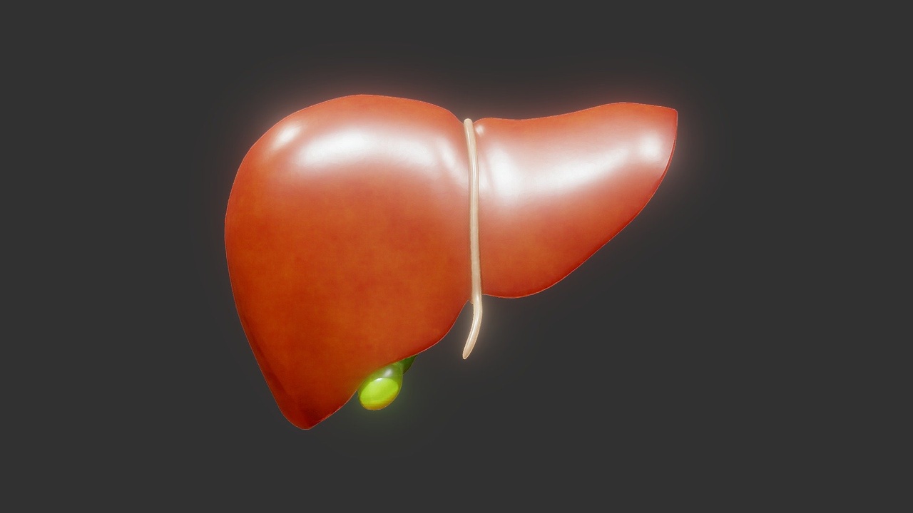 Media 1 for listing LIVER