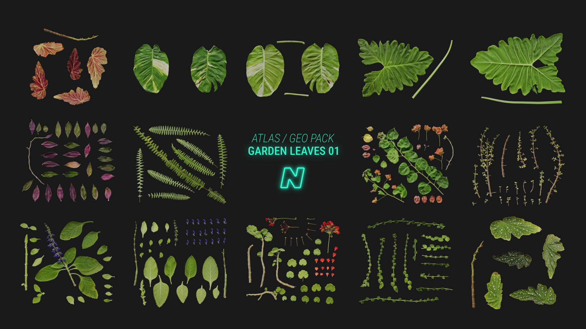 Media 1 for listing Garden Leaves 01