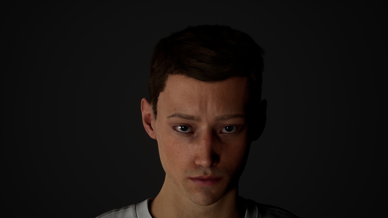 Media 1 for listing MetaHair 241- Groom hair for Metahumans - With low lowpoly version