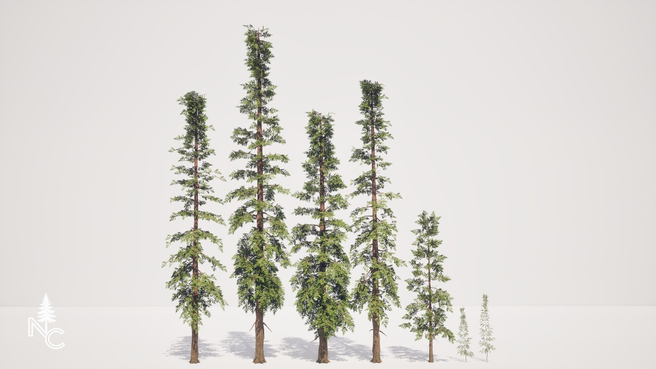 Media 1 for listing Realistic Coast Redwood Pack