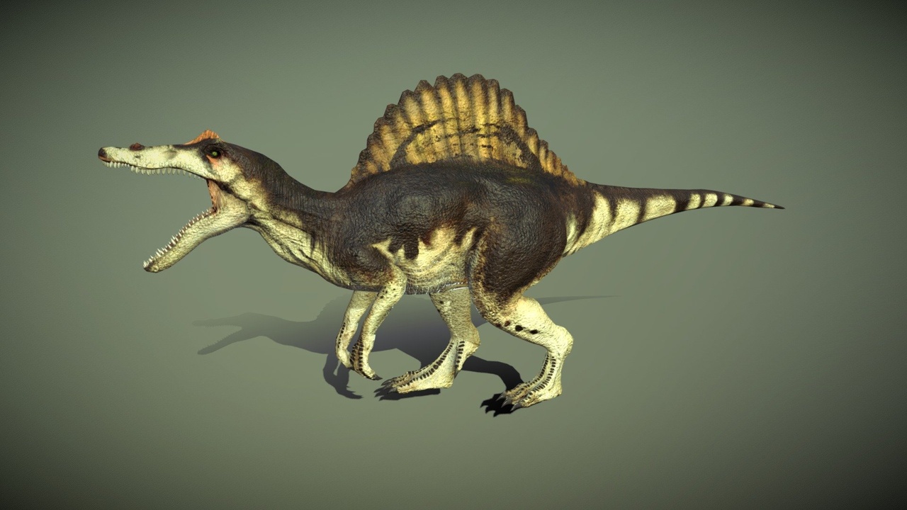 Media 1 for listing Spinosaurus
