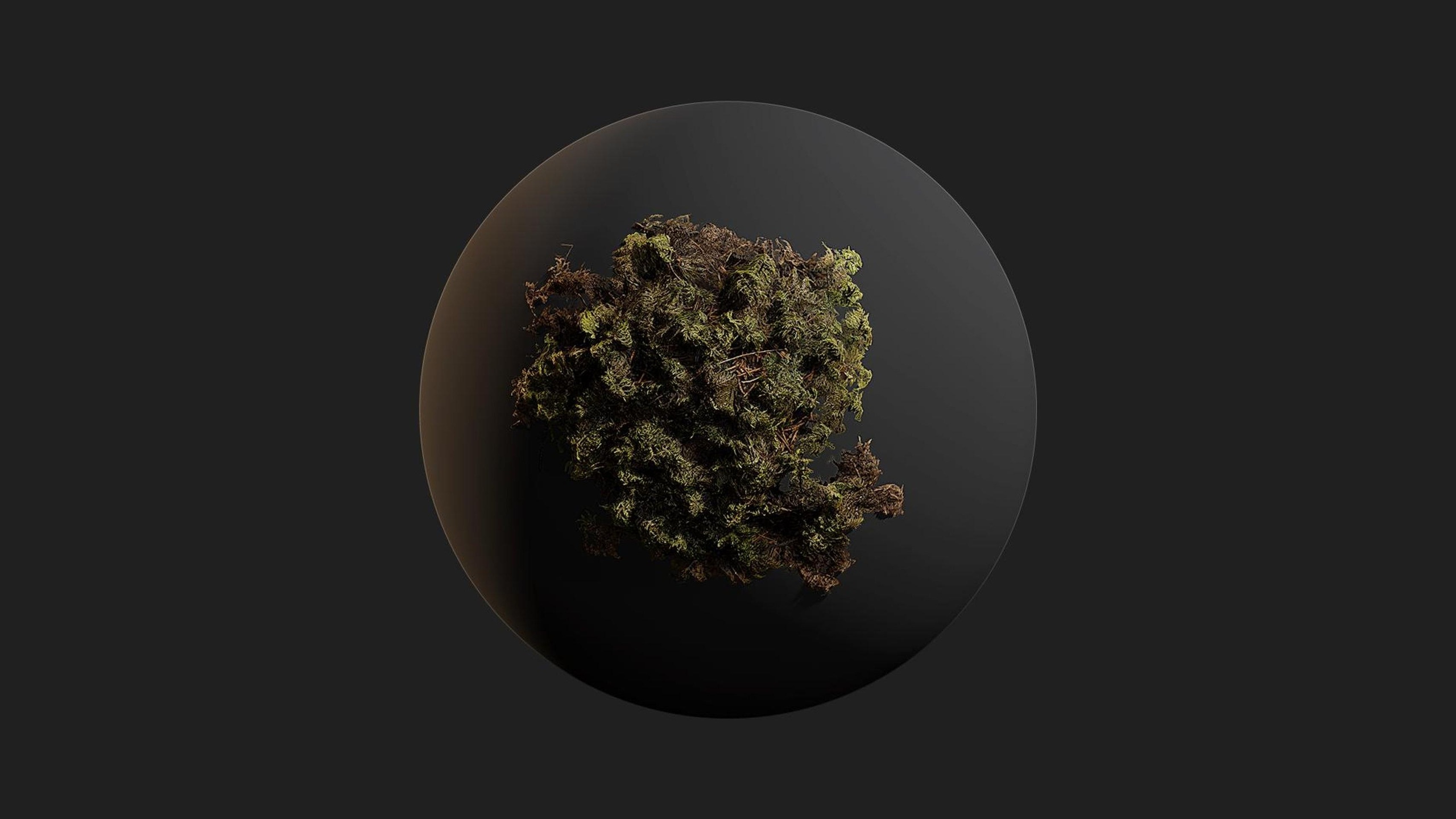 Media 1 for listing Moss Patch