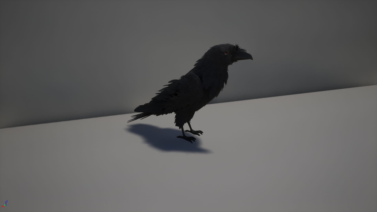 Media 1 for listing Raven NPC With Animations