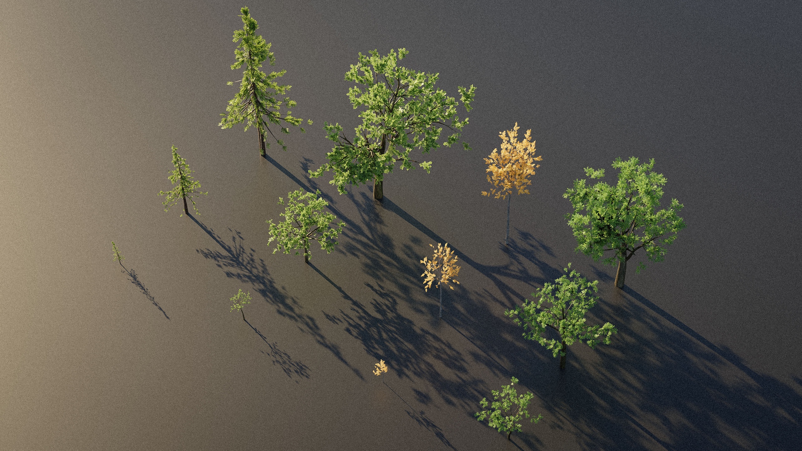 Media 1 for listing Trees for Video Games