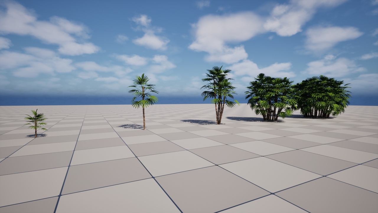 Media 1 for listing Raphis Exselsa (Bamboo Palm)