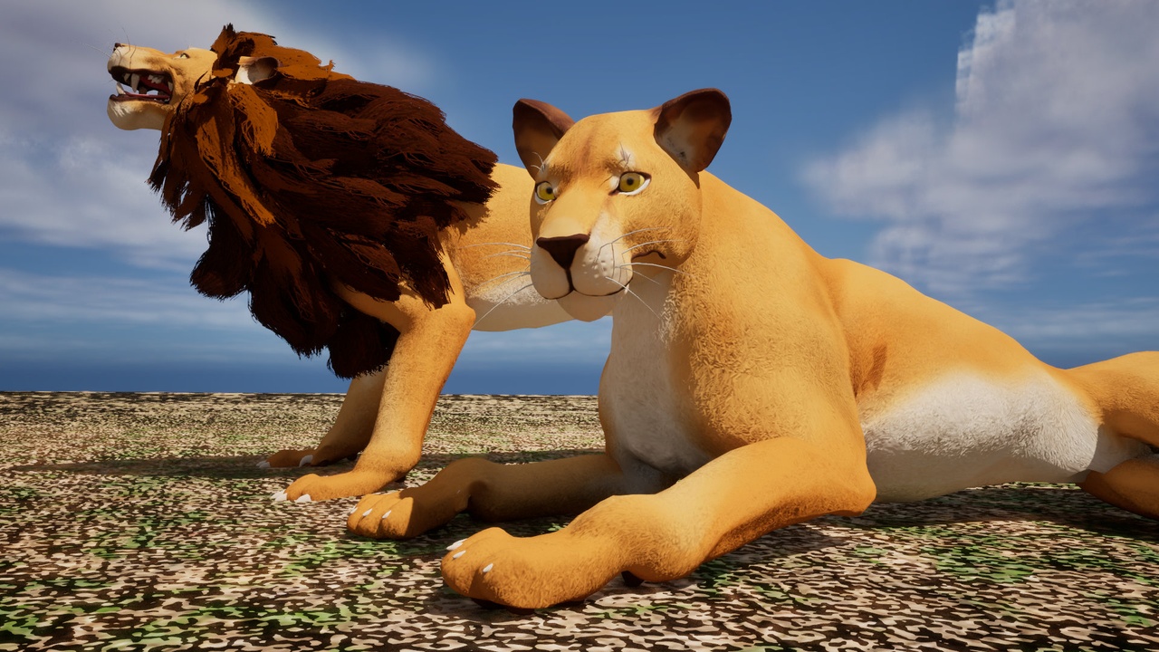 出品LION & LIONESSのメディア1