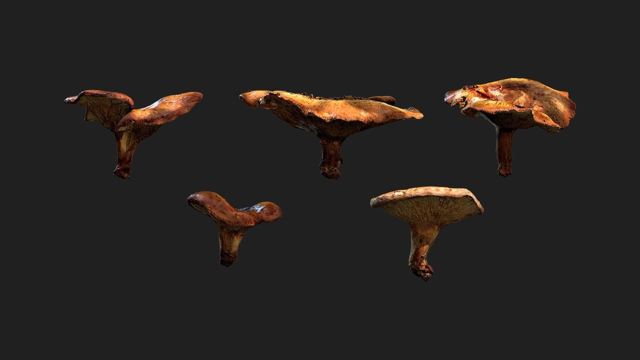 商品 Scatter Mushroom Set 的媒体 1