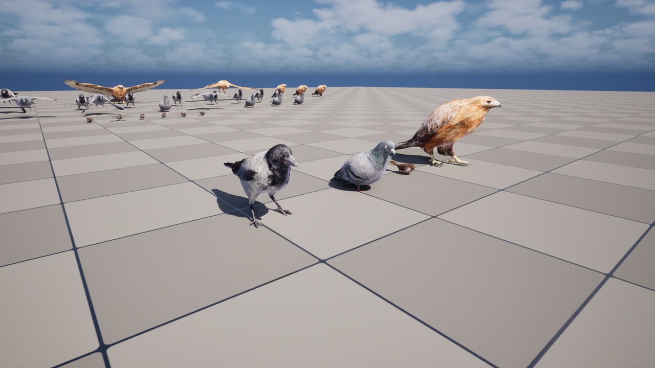 Media 1 for listing Bird Band