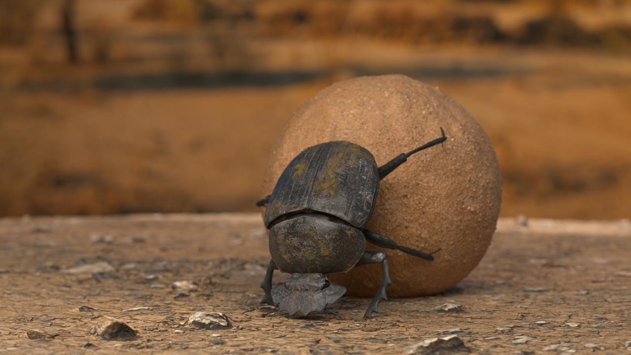 Media 1 for listing 3D Model – Dung Beetle (Popeye) - High Poly - 8K Textures