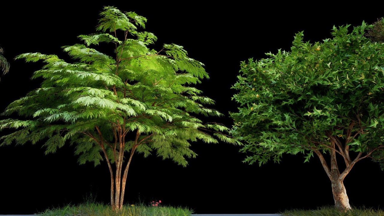 Media 1 for listing Cinematic Tree Pack