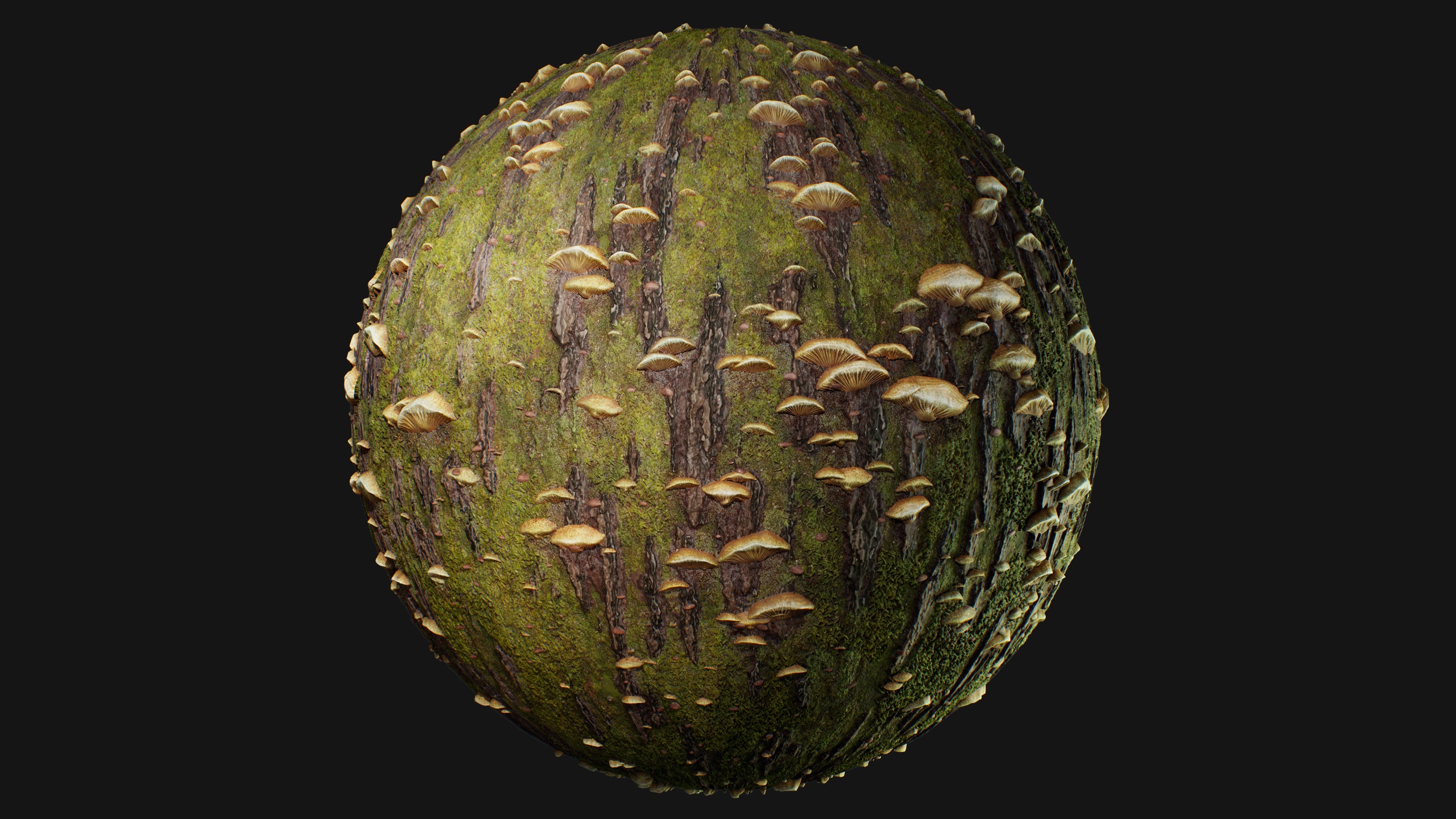 Media 1 for listing Bark Mushroom