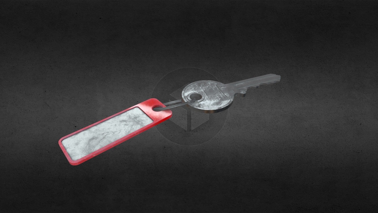 Media 1 for listing Key With Ring and Tag