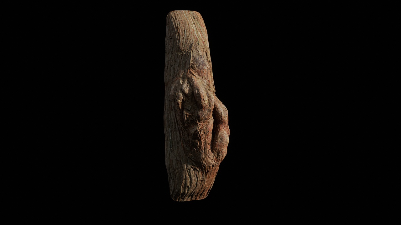 Media 1 for listing AD Sequoia sempervirens Burl 01