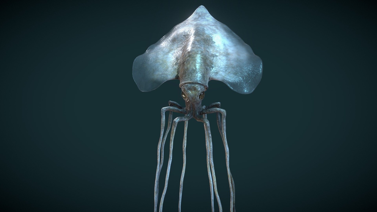 出品Bigfin squidのメディア1