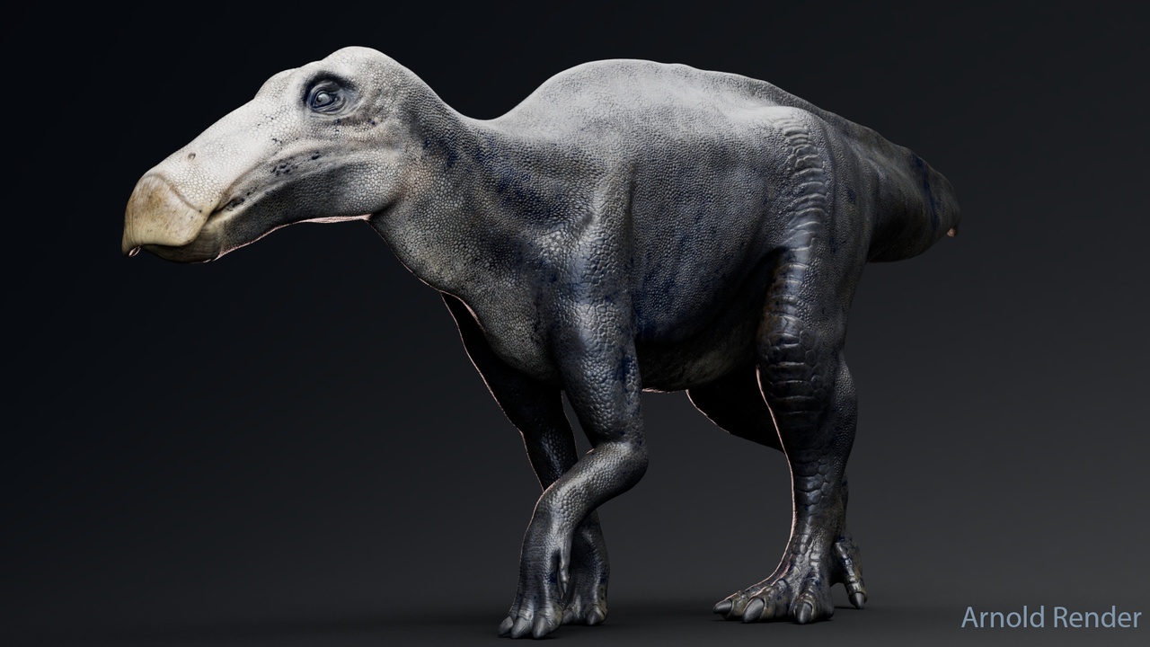 Media 1 for listing Dinosaur Shantungosaurus