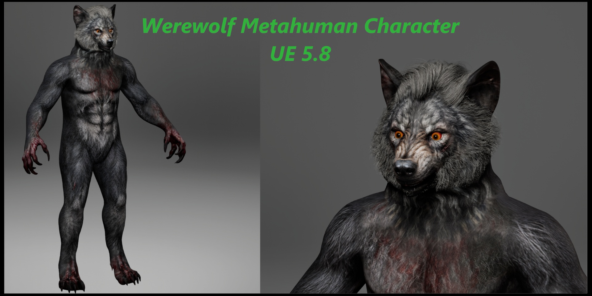 Media 1 for listing Werewolf Metahuman Character