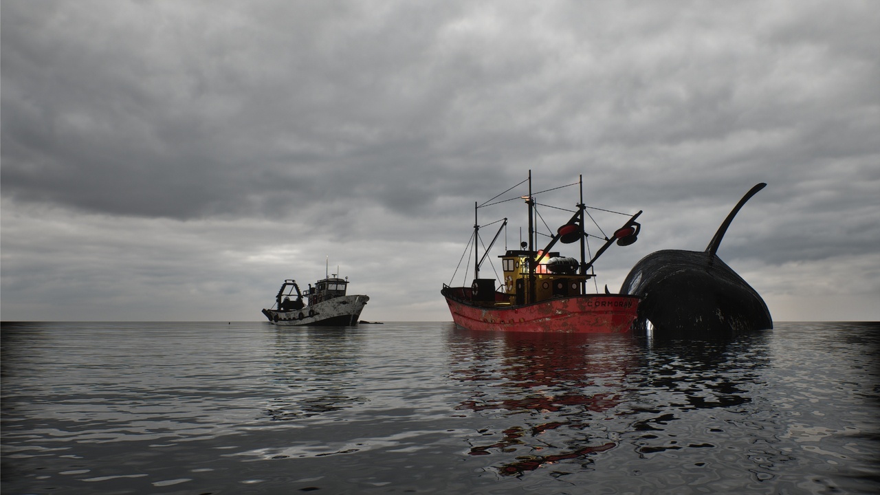 Media 1 for listing NATURE - Trawler Ship Orca