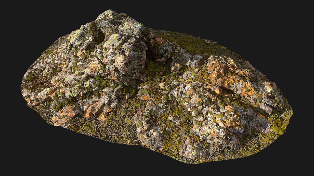 ザ・マテリアライズド・ガーデン Mossy Rock Scatter (7ktTPZ) | Fab