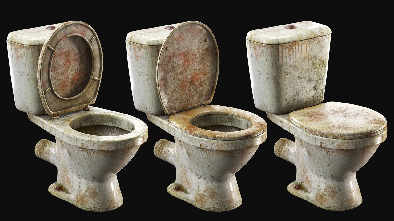 Media 1 for listing Dirty abandoned toilet