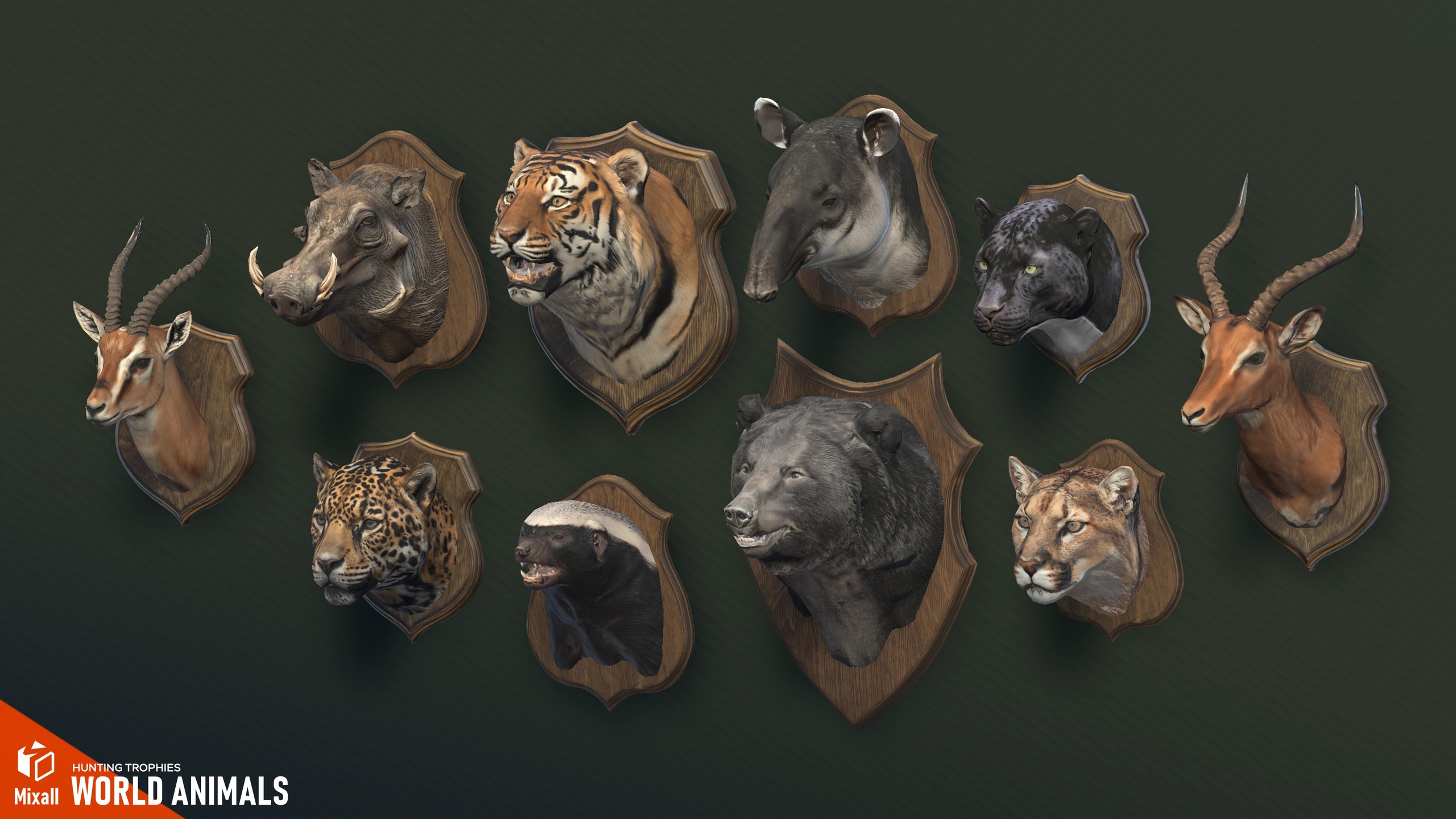 Media 1 for listing World Animals – Hunting Trophies