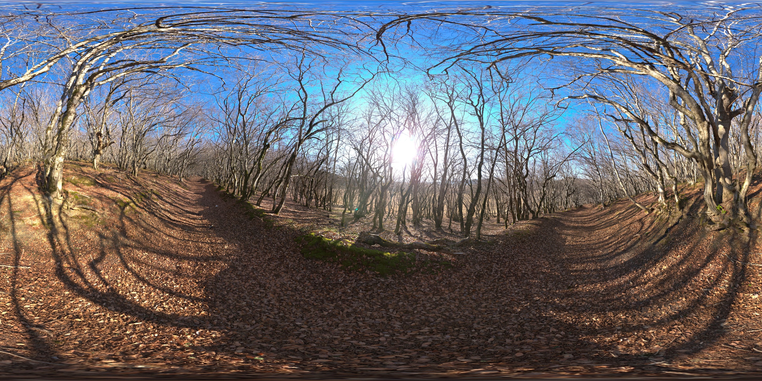 Media 1 for listing Winter HDRI pack