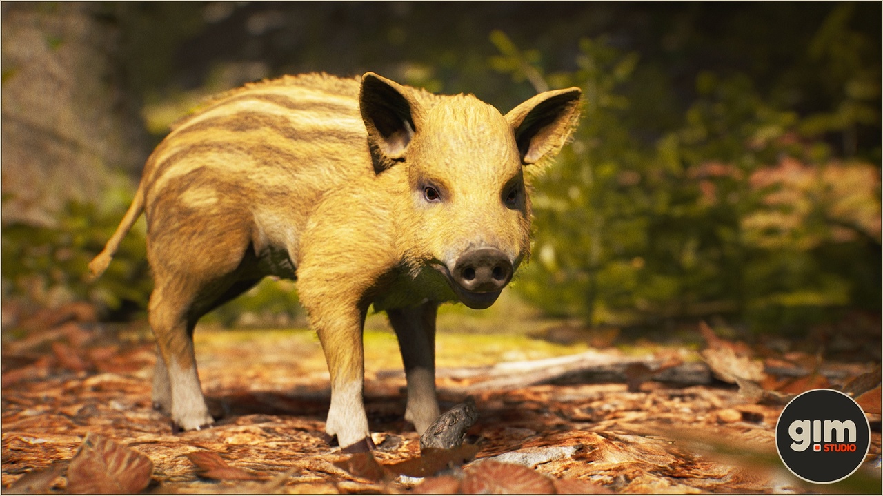Media 1 for listing Animalia - Wild Boar (young)