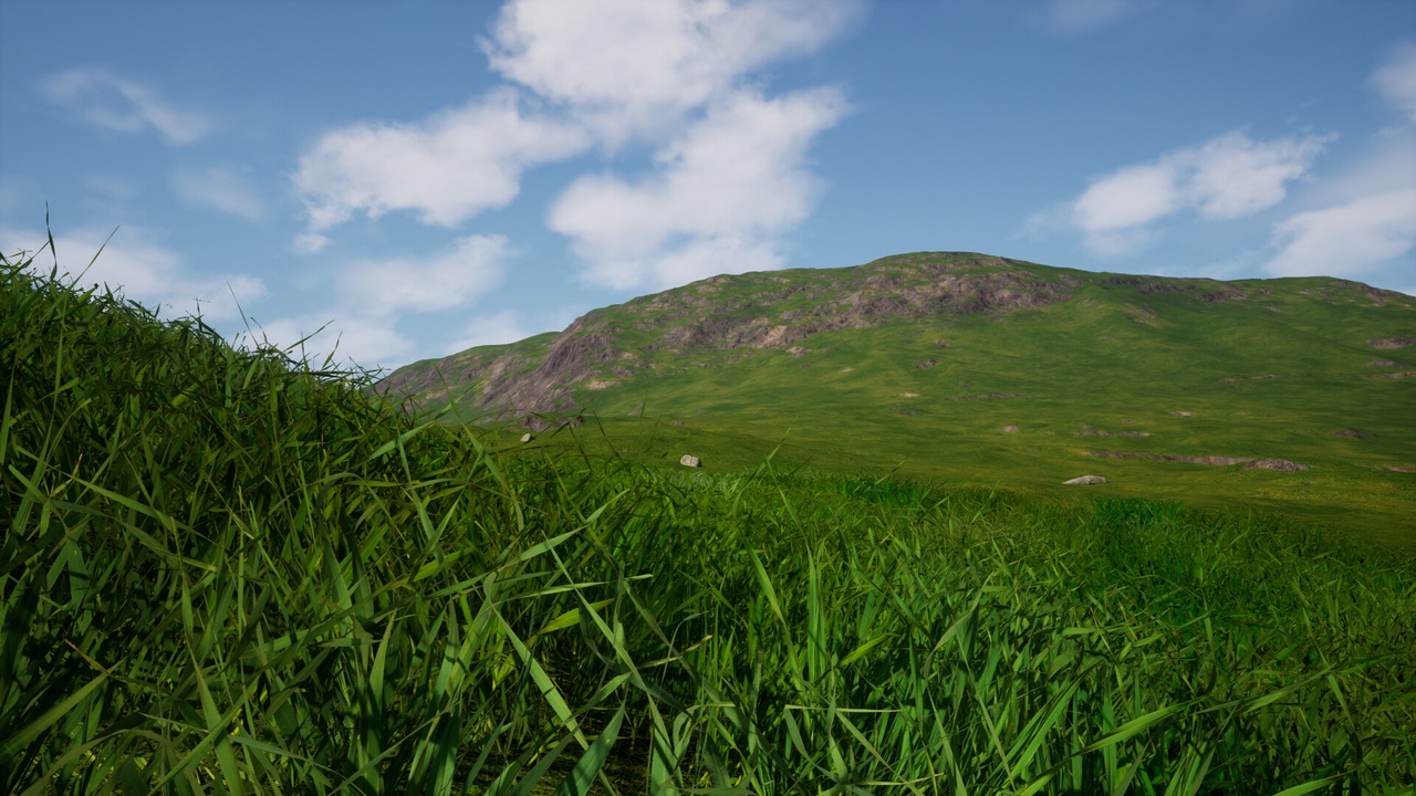 Media 1 for listing Procedural Grasslands Ecosystem