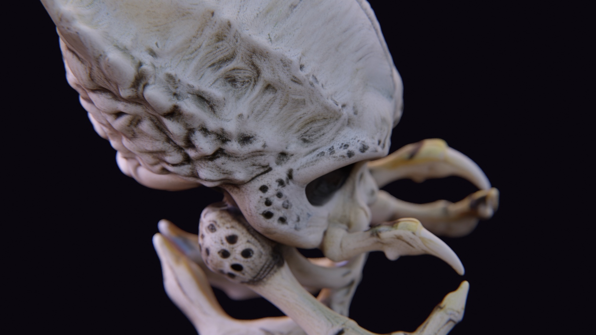 Media 1 for listing Alien Skull Artifact