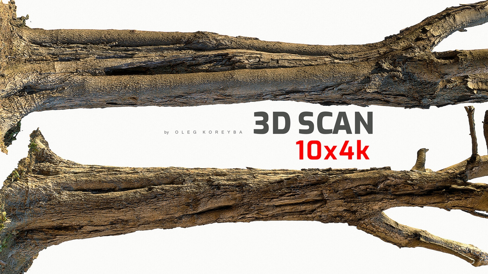 Media 1 for listing Tamarisk Tree 3DScan 10x4k \ 4x16k Textures UltraHQmesh OBJ Blender FBX Maya Max