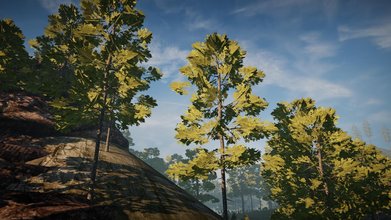 Media 1 for listing Desktop Pine Trees 1 (PC/Console)