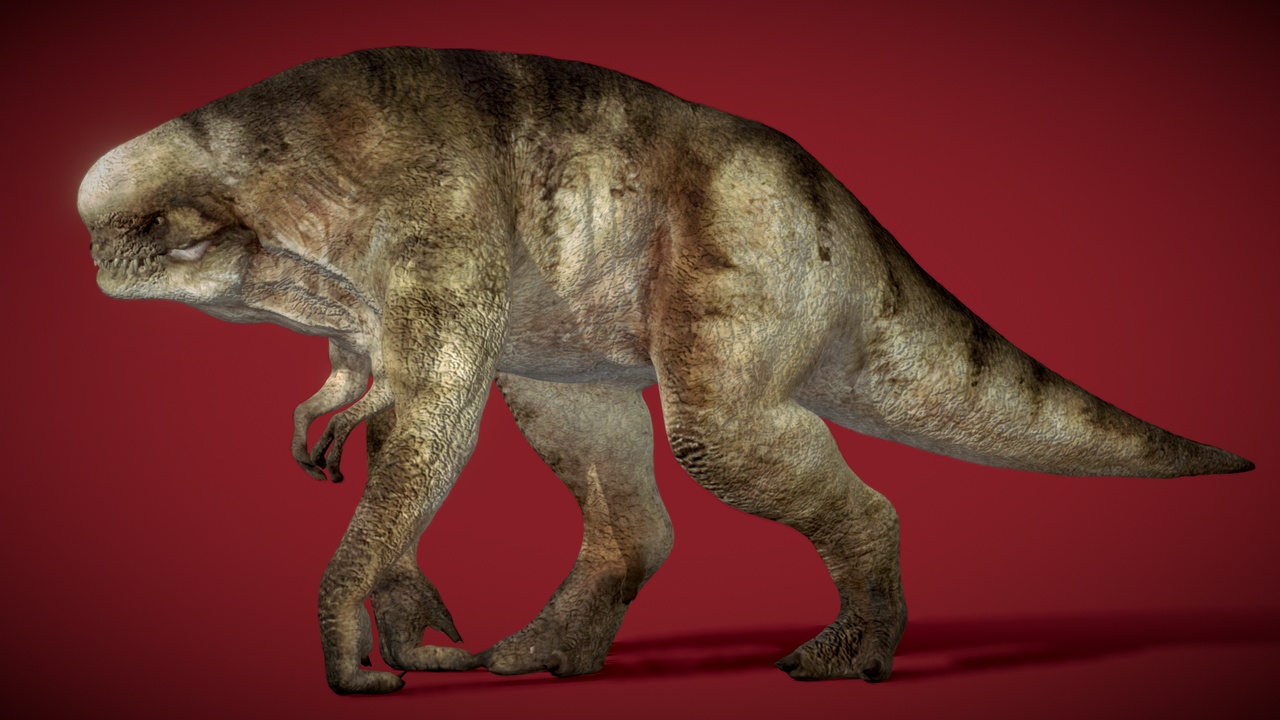 Media 1 for listing Animated Distortus Rex