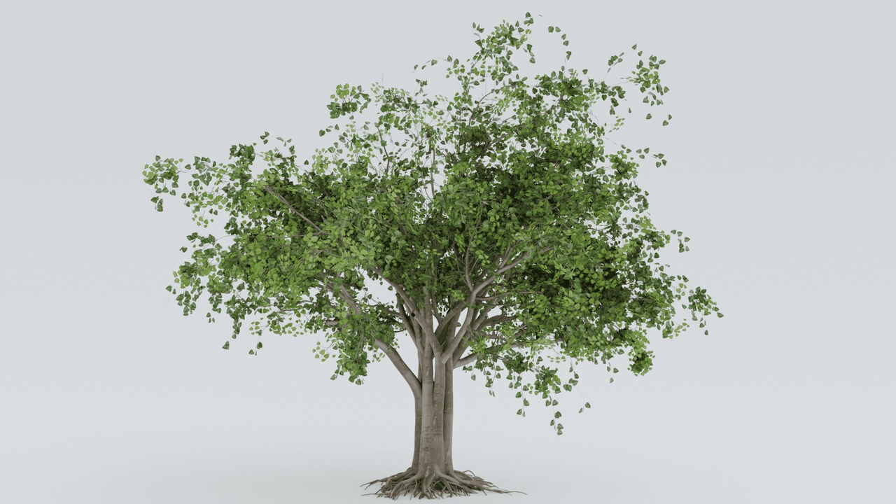 Media 1 for listing Peepal Tree - Realistic 3D Model  (Game Ready / Unreal )