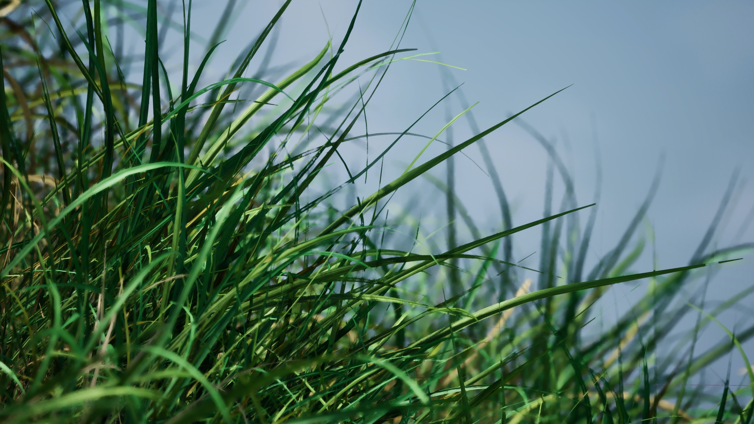 Media 1 for listing Kentucky Bluegrass v1.4 | Nanite Foliage