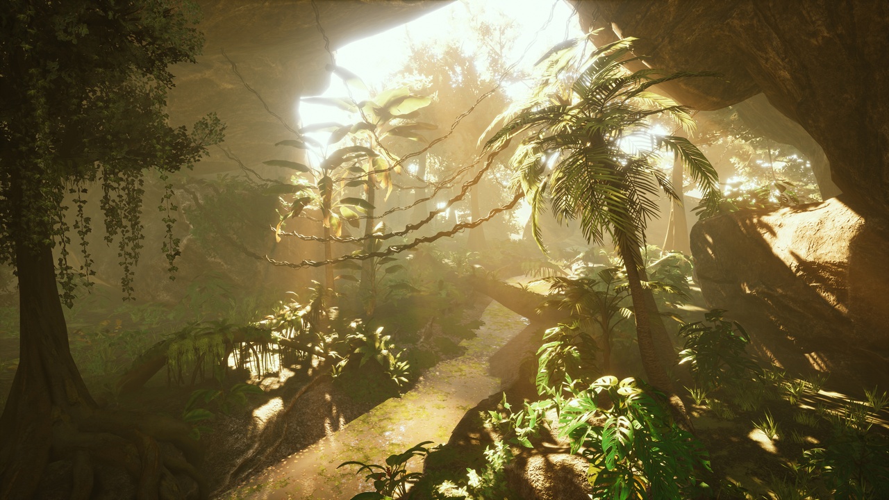 Media 1 for listing Jungle Pack