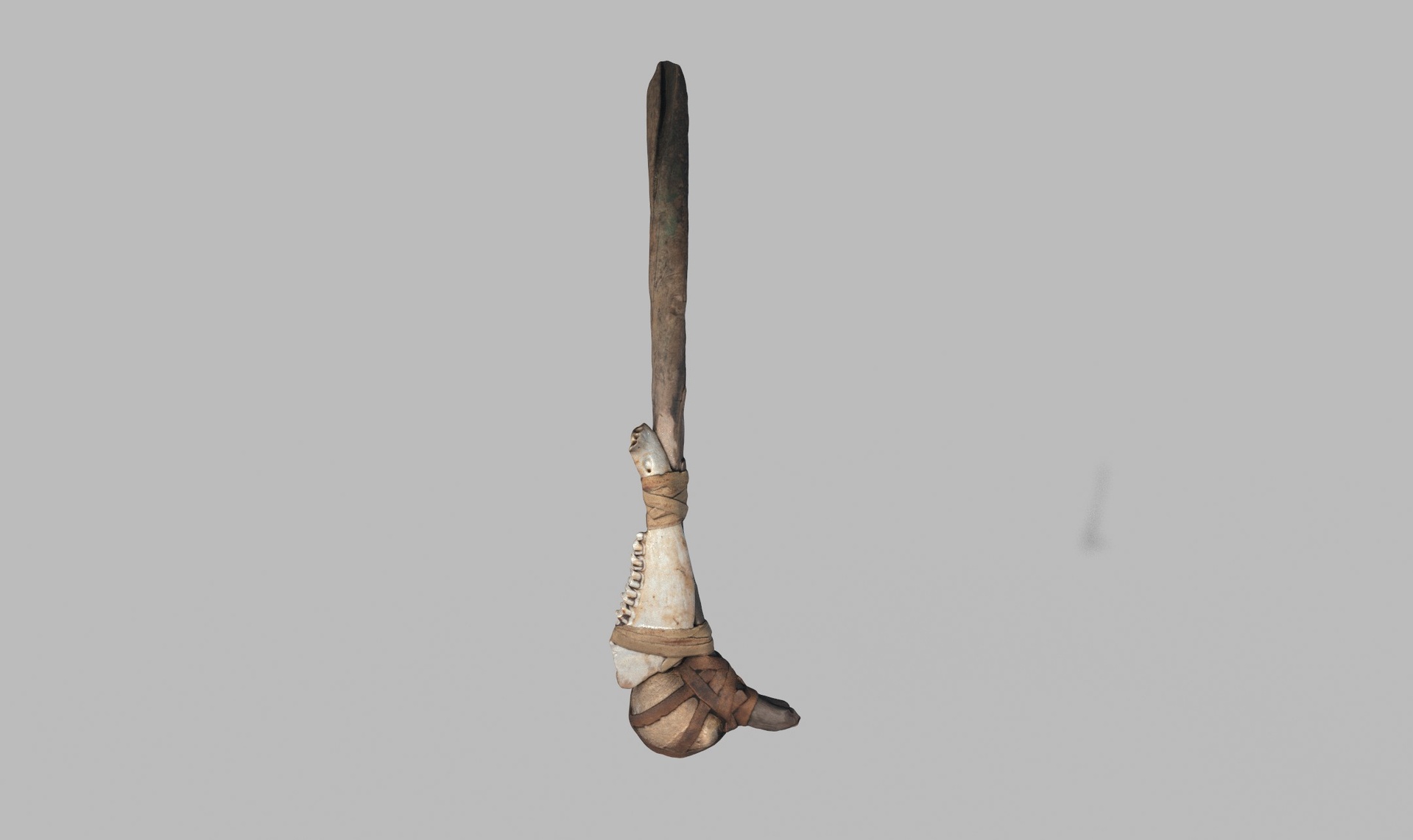 Media 1 for listing Prehistoric wooden club featuring a horse jawbone and Sphere Stone
