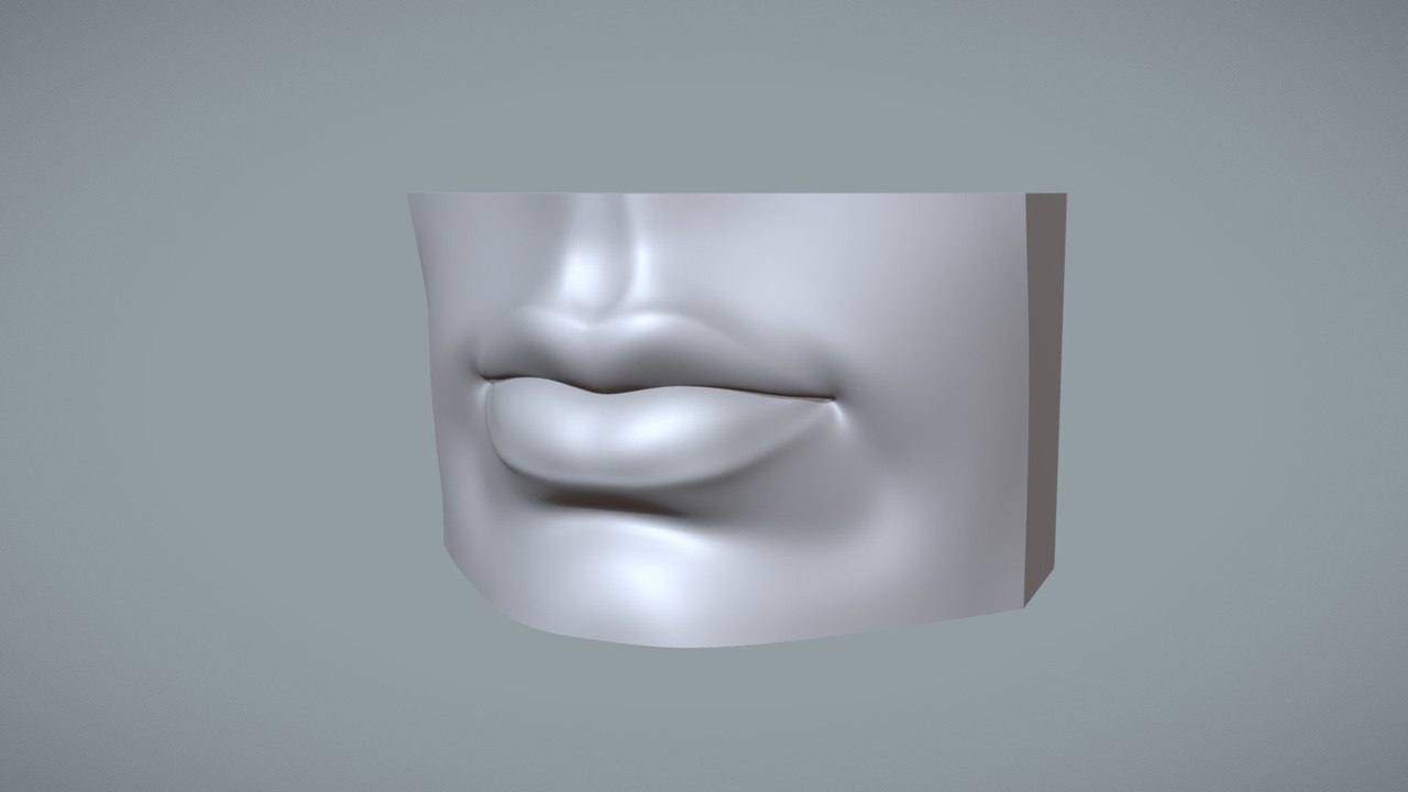 Media 1 for listing Human Mouth Reference