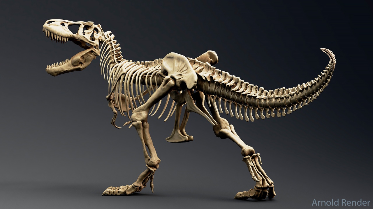 Tyrannosaurus Rex Skeleton Diagram