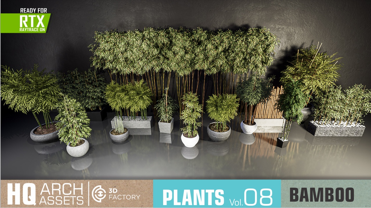 商品 HQ Plants Vol. 8 ( Bamboo ) 的媒体 1