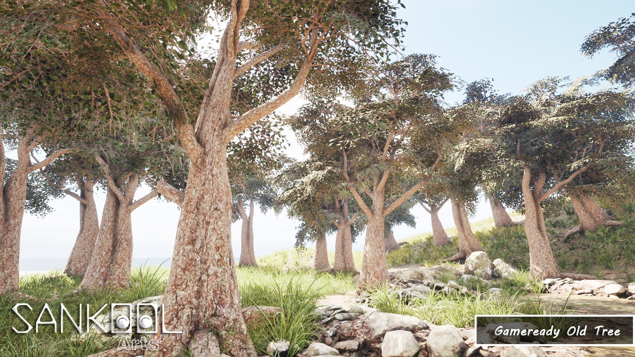 Media 1 for listing Gameready Old Tree Pack (For Unreal Engine Only)