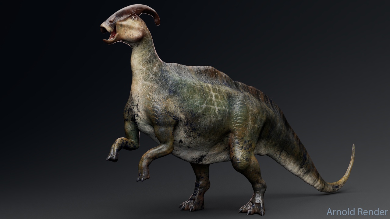 Media 1 for listing Dinosaur Parasaurolophus Real Dinosaur Series