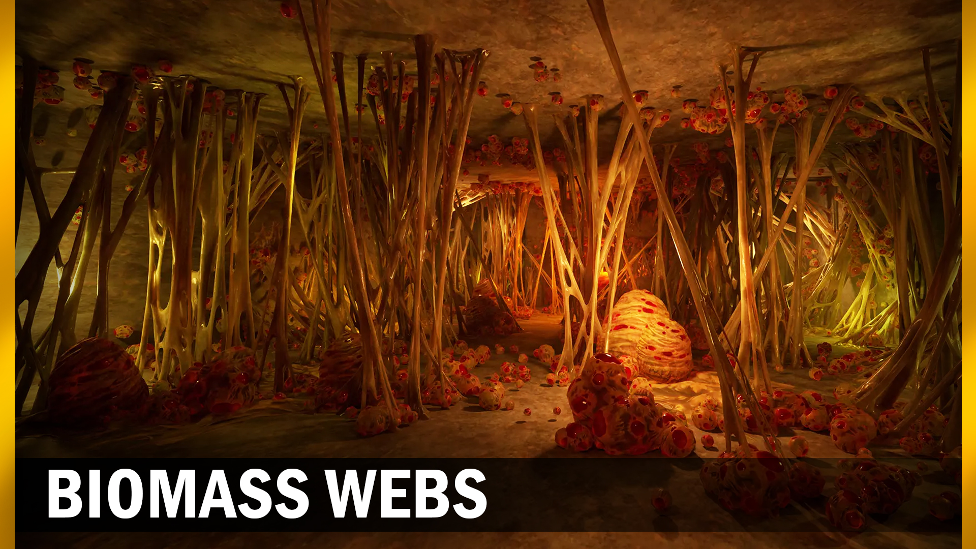 Biomass webs