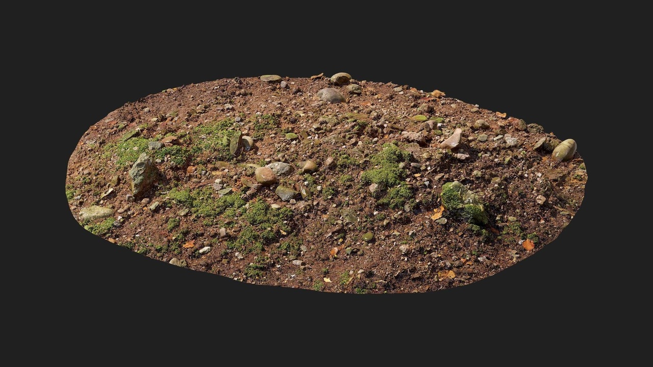 Multimedia 1 para anuncio Forest European Broadleaf Ground Rock M 03