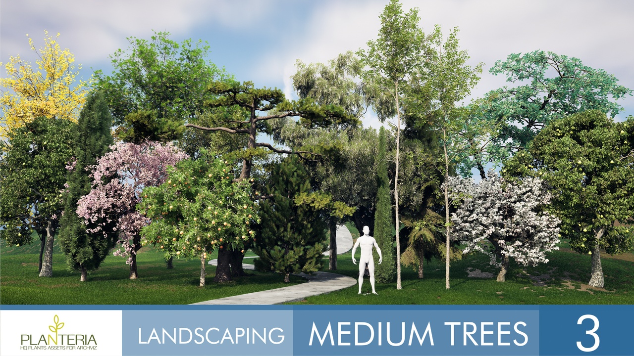 出品Landscaping Medium Trees 3のメディア1