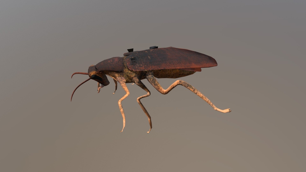 出品Cockroachのメディア1