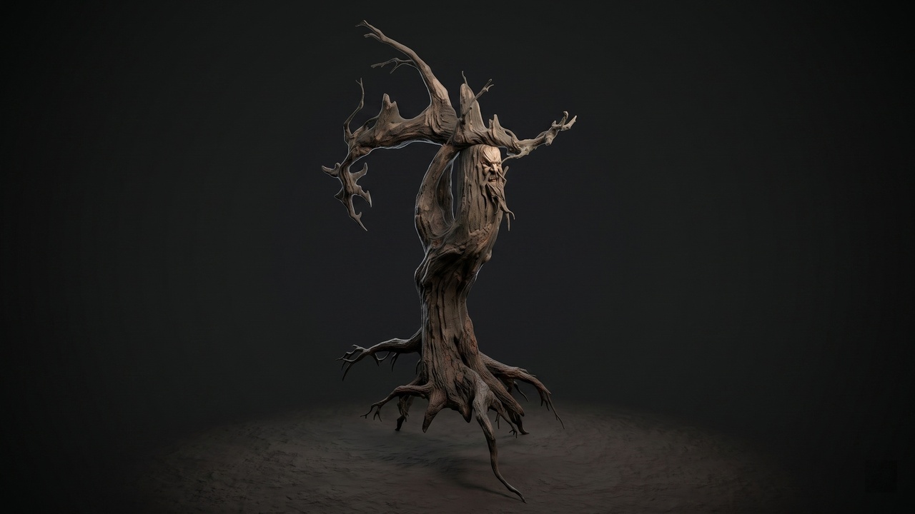 Media 1 for listing Wise Tree
