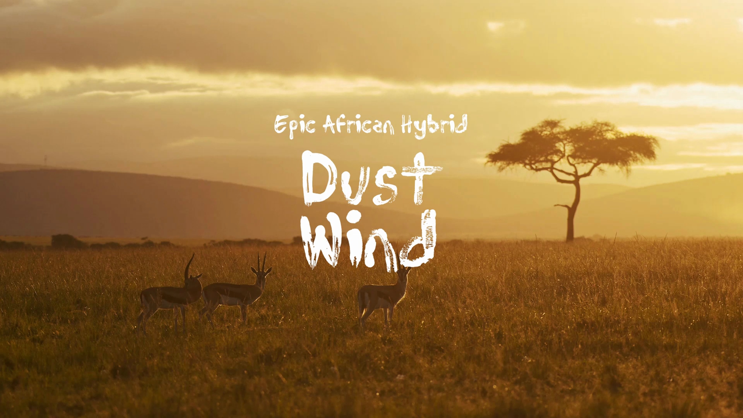 Media 1 for listing Dust Wind / Epic African Hybrid