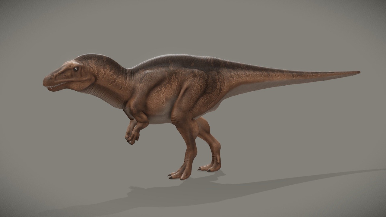 Media 1 for listing Acrocanthosaurus Atokensis