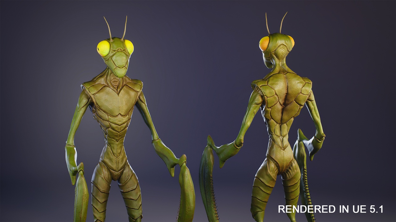 出品Insect creatureのメディア1